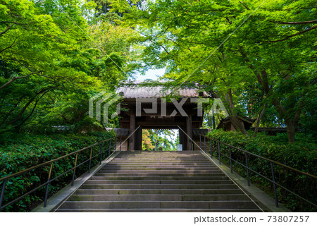 The gate of Engakuji Temple in Kamakura 73807257