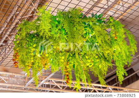 Artificial Plastic Plants Artificial Plastic Plants 73808925