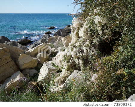 Autumn coast of the Caspian Sea. 73809371