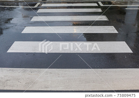 Wet Street Crossing 73809475