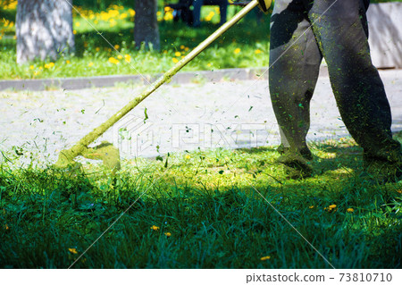 cutting lush green grass in the park. beautiful nature background. lawn care work in progress concept. brush cutter tool used to maintain gardens and outdoors cutting lush green grass in the park. beautiful nature background. lawn care work in progress concept. brush cutter tool used to maintain gardens and outdoors 73810710