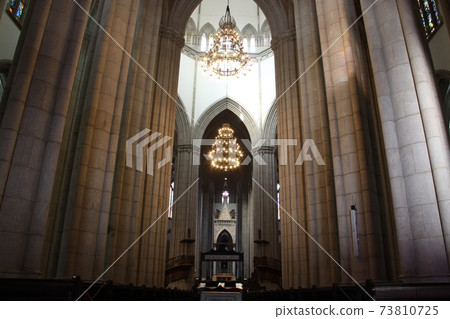 巴西聖保羅的Se大教堂 巴西聖保羅的Se大教堂 73810725