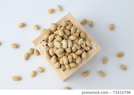豆播種豆大豆白色背景 73810796