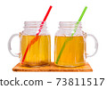 Homemade Fermented Raw Kombucha Tea  73811517