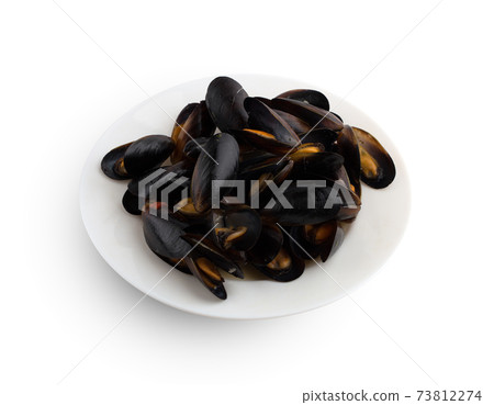 Mussels in sash on a white plate. Mussels in wine sauce on a white background. 73812274