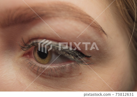 Macro shot of woman's beautiful eye with eyelashes and eyebrow. 73812631