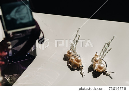Accessories for the bride. Earrings on the veil. White wedding earrings. Space for text and ads. Accessories for the bride. Earrings on the veil. White wedding earrings. Space for text and ads. 73814756