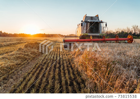 Combine harvester harvests ripe wheat. Concept of a rich harvest. Agriculture image Combine harvester harvests ripe wheat. Concept of a rich harvest. Agriculture image 73815538