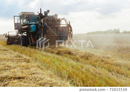 Combine harvester harvests ripe wheat. Concept of a rich harvest. Agriculture image. Combine harvester harvests ripe wheat. Concept of a rich harvest. Agriculture image. 73815539