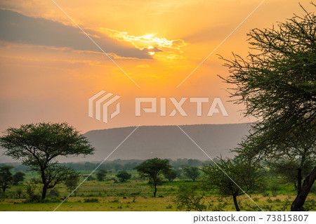 Spectacular Ngoro Ngoro sunset over the African bush 73815807