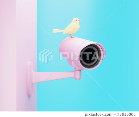 Pink CCTV security camera and yellow bird, 3d render Pink CCTV security camera and yellow bird, 3d render 73816003