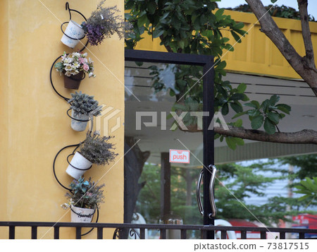 potted plants 73817515