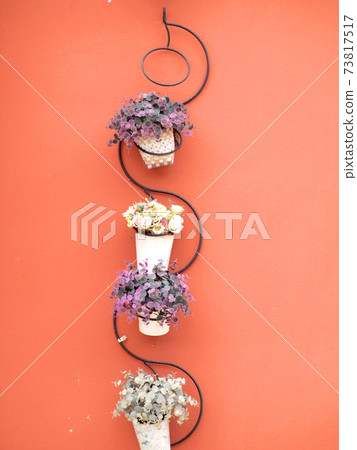 potted plants potted plants 73817517