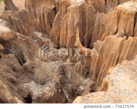 Lalu Park in Sakaeo province, Thailand, due to soil erosion has produced stranges shapes Lalu Park in Sakaeo province, Thailand, due to soil erosion has produced stranges shapes 73817574