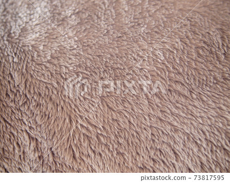 Teddy bear brown fur Teddy bear brown fur 73817595