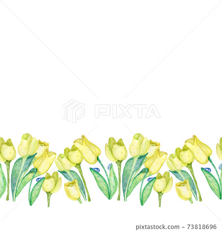 Flower Borders From Tulips And Narcissuses, Isolated On White Background, Illustration Flower Borders From Tulips And Narcissuses, Isolated On White Background, Illustration 73818696