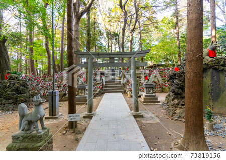 [愛知縣]豐川稻荷 73819156