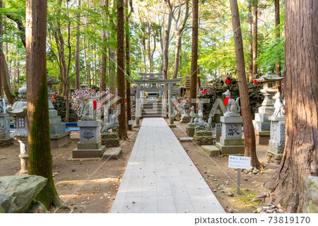 [Aichi Prefecture] Toyokawa Inari 73819170