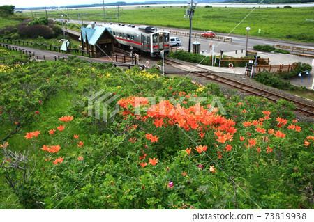 Koshimizu Wild Flower Garden Koshimizu Wild Flower Garden 73819938