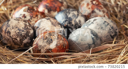 Easter composition - multicolored marble Easter eggs painted with natural dyes in a nest of hay, horizontal banner Easter composition - multicolored marble Easter eggs painted with natural dyes in a nest of hay, horizontal banner 73820215
