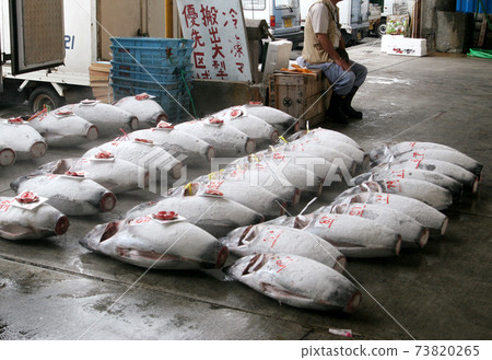 Tuna loading 73820265