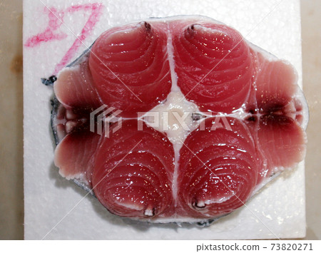 金槍魚裝 73820271