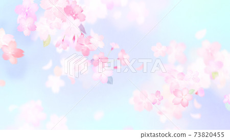 櫻花背景-有多種變體 73820455