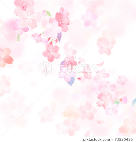 櫻花背景-有多種變體 櫻花背景-有多種變體 73820456