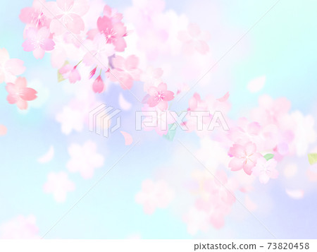 Cherry blossom background-there are multiple variations 73820458