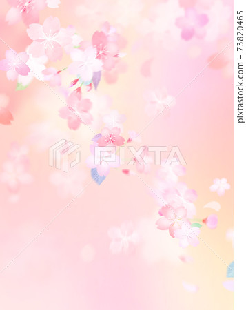 Cherry blossom background-there are multiple variations 73820465
