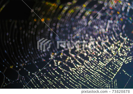 colorful rainbow blur and bokeh abstract and art of cobweb 73820878