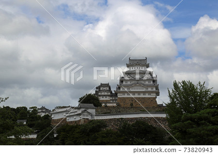 Himeji castle in early summer 73820943