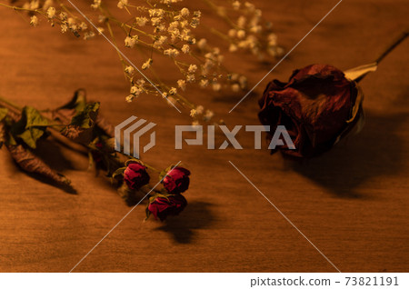 Rose dry flower Rose dry flower 73821191