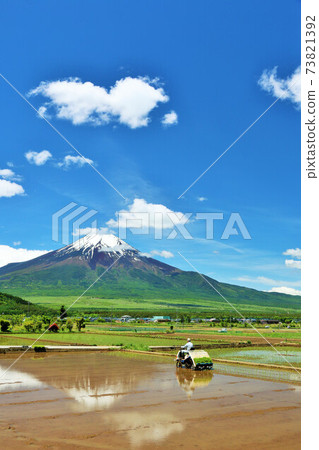 Yamanashi Prefecture Early summer blue sky and rice planting scenery and Mt. Fuji Yamanashi Prefecture Early summer blue sky and rice planting scenery and Mt. Fuji 73821392