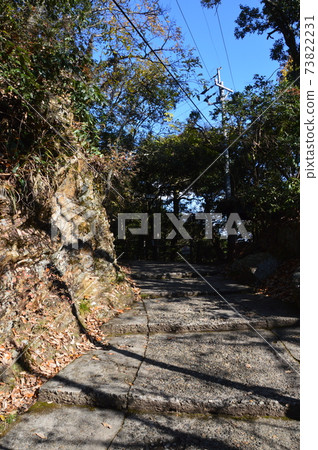 通往岐阜城堡和城堡塔的山路(岐阜縣岐阜山/岐阜市) 通往岐阜城堡和城堡塔的山路(岐阜縣岐阜山/岐阜市) 73822231