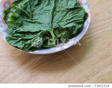 Pumpkin leaves, cooking ingredients, green 73822324
