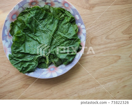 南瓜葉,烹飪原料,綠色 南瓜葉,烹飪原料,綠色 73822326