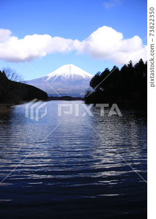 Mt. Fuji Mt. Fuji 73822350