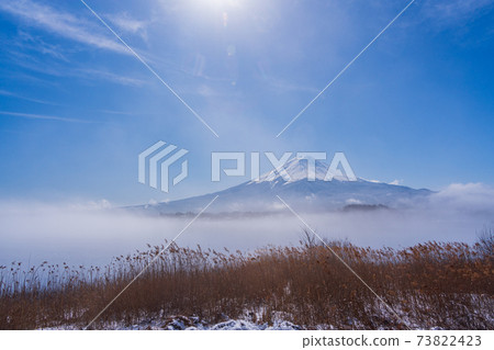 (Yamanashi Prefecture) Mt. Fuji over Lake Kawaguchi surrounded by fog 73822423
