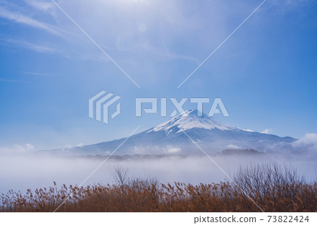 (Yamanashi Prefecture) Mt. Fuji over Lake Kawaguchi surrounded by fog 73822424