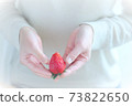 Strawberry  73822650