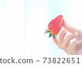 Strawberry  73822651