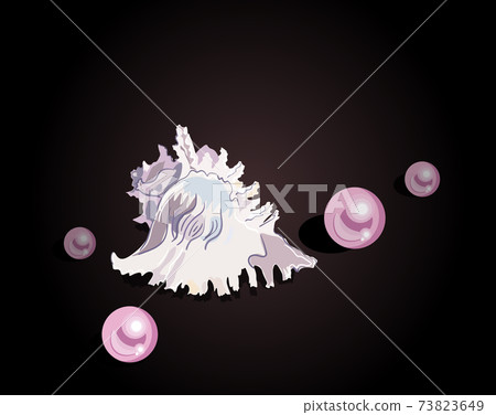 Vector illustration of pink pearl and shell on dark background 73823649