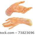 Hands drawing realistic sketch. Watercolor hands gesture set. Isolated human palm clip art. 73823696