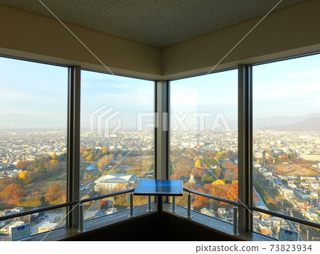 View from Kashiro Central Observation Lobby View from Kashiro Central Observation Lobby 73823934