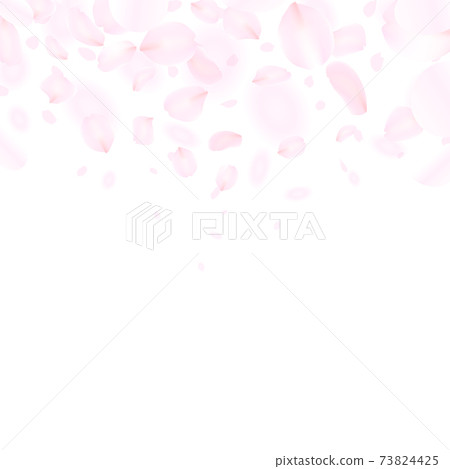 與粉紅色的花瓣跳舞的背景說明 73824425