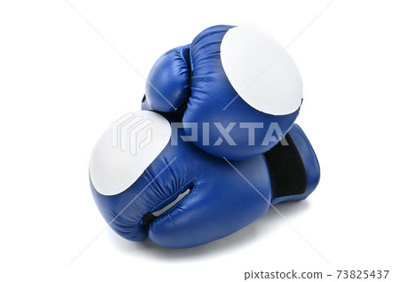 Boxing gloves on a white background.Mitt 73825437