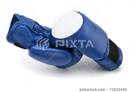 Boxing gloves on a white background.Mitt 73825440