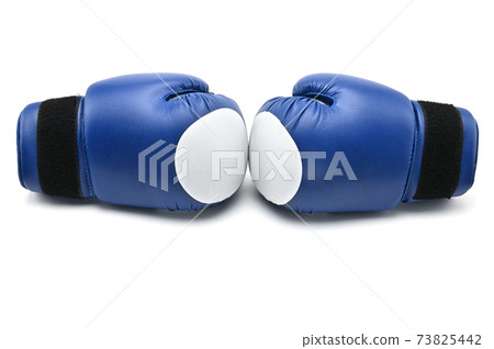 Boxing gloves on a white background.Mitt Boxing gloves on a white background.Mitt 73825442