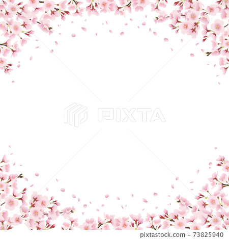 景觀圖的一側的櫻花，抬頭看著一排排的櫻花樹裝飾物，框架，周圍的裝飾品（正方形） 73825940